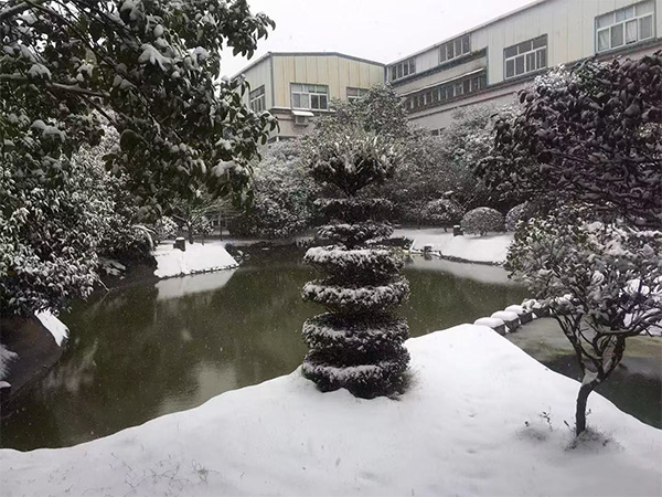 雅园雪景一角