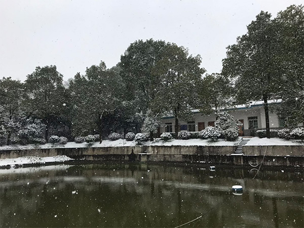 雅园雪景